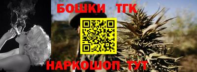 соль ск Новозыбков