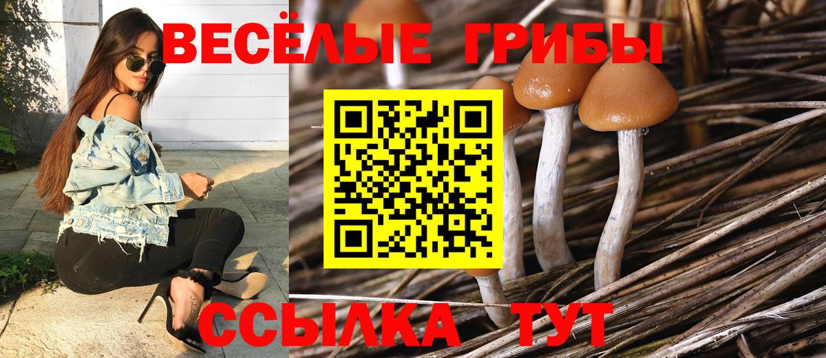 Югорск  Псилоцибиновые грибы Psilocybe  Вход с VPN 